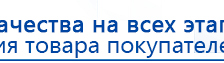 СКЭНАР-1-НТ (исполнение 01)  купить в Верхней Салде, Аппараты Скэнар купить в Верхней Салде, Дэнас официальный сайт denasdoctor.ru